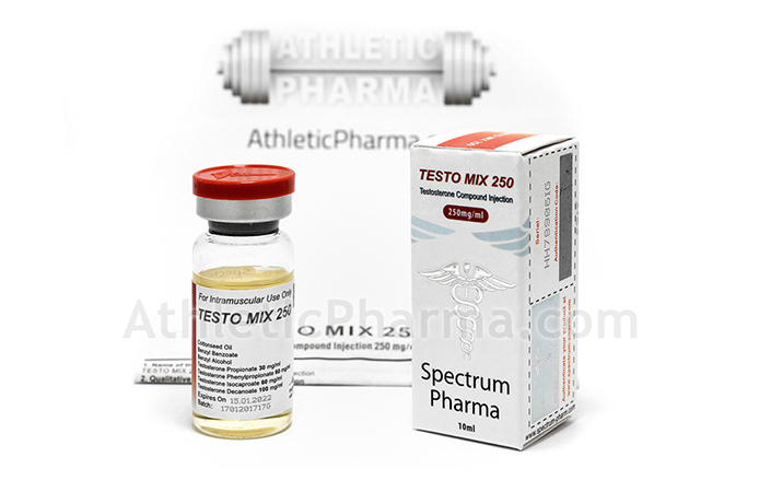 Testo Mix 250